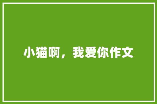 海珠工厂焕新之旅,探索现代化工业空间的魅力