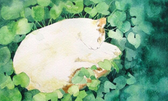 JSP图片相对路径实例从入门到精通